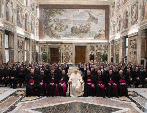 El Santo Padre Francisco recibe en el Vaticano a los formadores y seminaristas de nuestro Colegio Mayor-Seminario